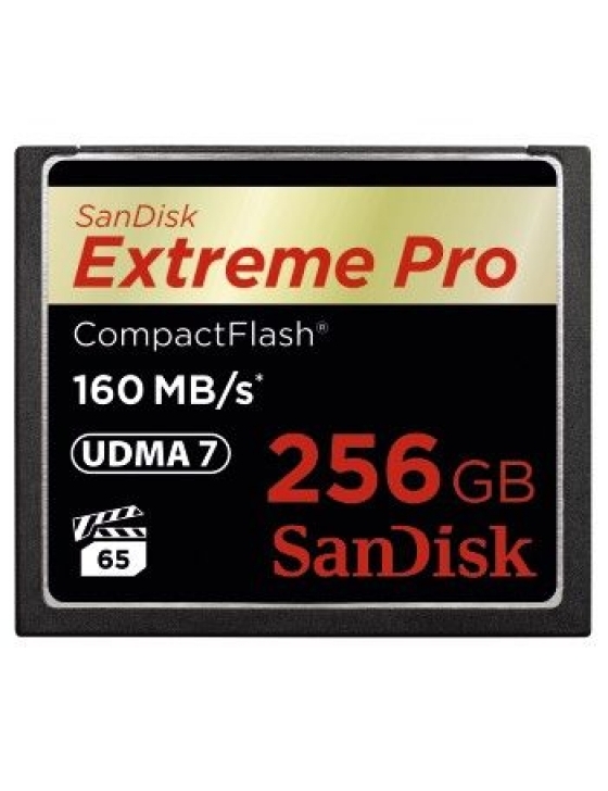 CF 256GB  EXTREME  160MB/s