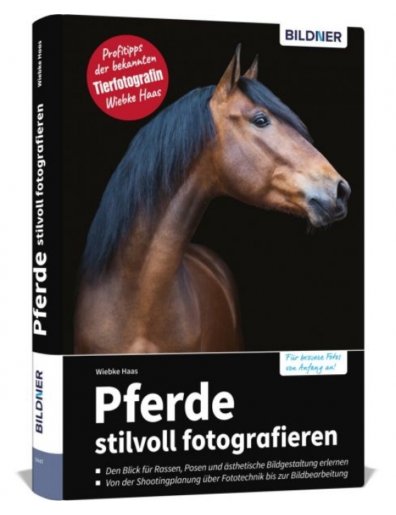 Pferde stilvoll fotografieren