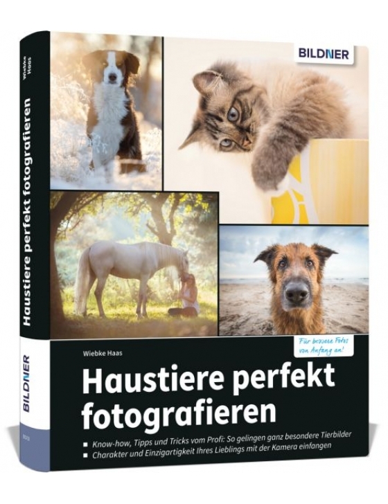 Haustiere perfekt fotografieren